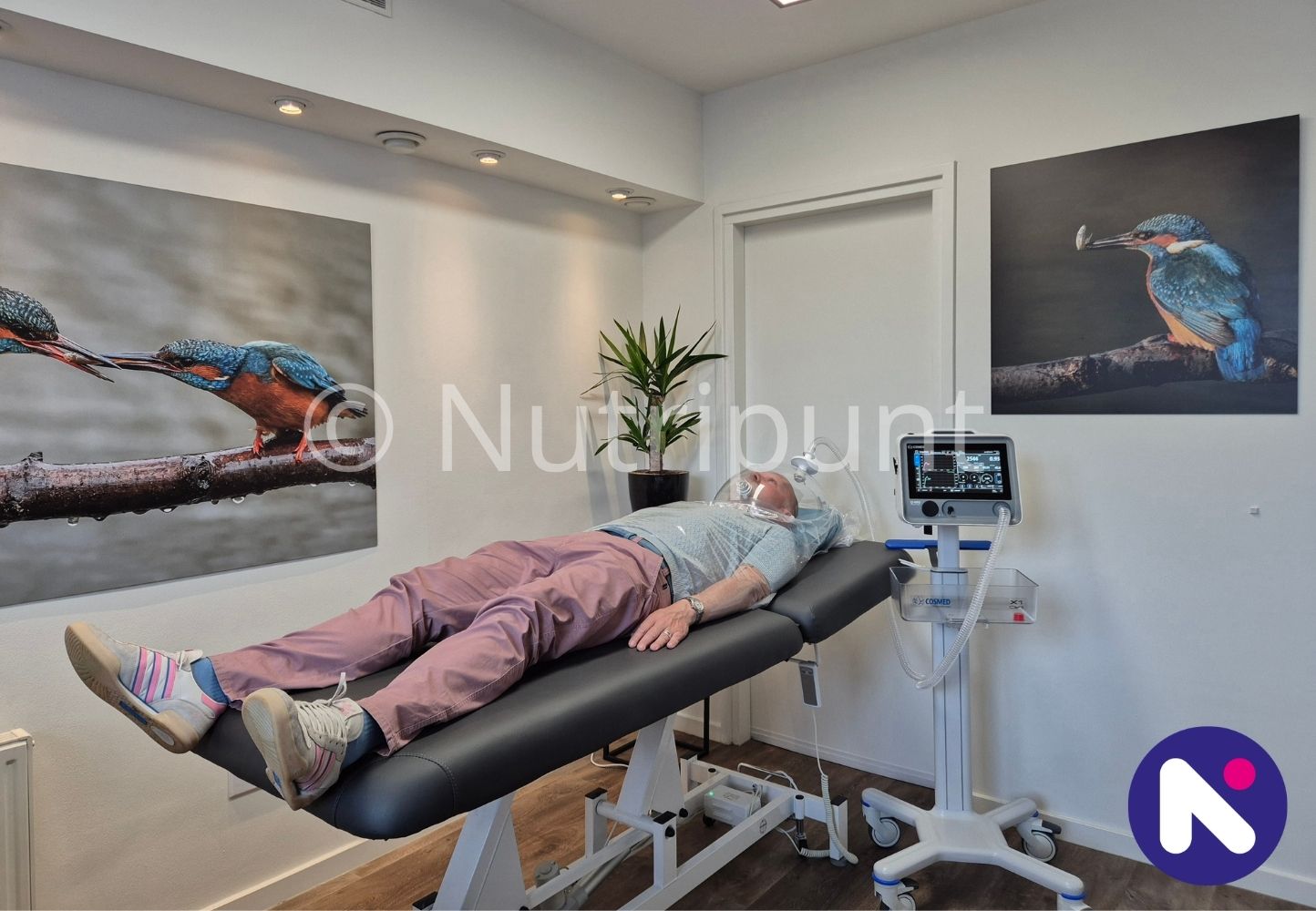 Q-NRG Nutripunt ©